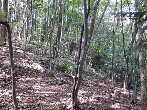 20191031hike (204)